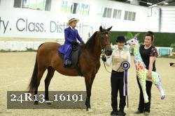 24R13_16191 thumbnail