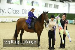 24R13_16192 thumbnail