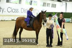 24R13_16193 thumbnail