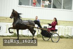 24R13_16223 thumbnail