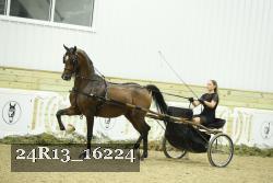 24R13_16224 thumbnail