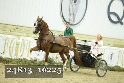 24R13_16225 thumbnail