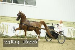 24R13_16226 thumbnail