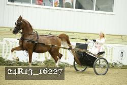 24R13_16227 thumbnail