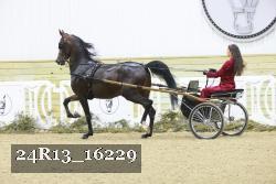 24R13_16229 thumbnail