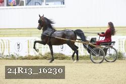 24R13_16230 thumbnail