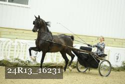 24R13_16231 thumbnail