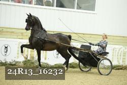 24R13_16232 thumbnail