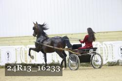 24R13_16233 thumbnail