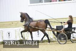 24R13_16234 thumbnail