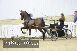 24R13_16235 thumbnail