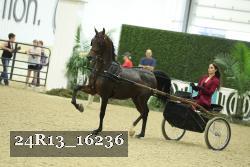 24R13_16236 thumbnail
