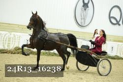 24R13_16238 thumbnail