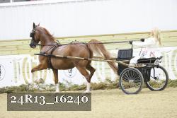 24R13_16240 thumbnail