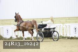 24R13_16242 thumbnail
