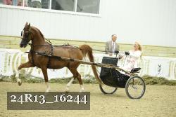 24R13_16244 thumbnail