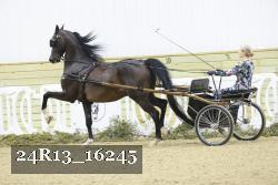 24R13_16245 thumbnail