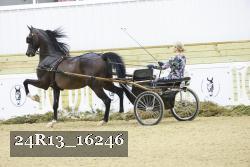 24R13_16246 thumbnail