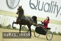24R13_16249 thumbnail