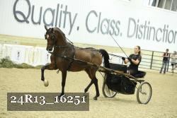 24R13_16251 thumbnail