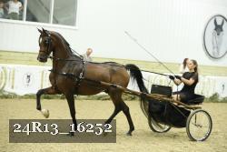 24R13_16252 thumbnail