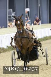 24R13_16257 thumbnail