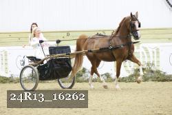 24R13_16262 thumbnail