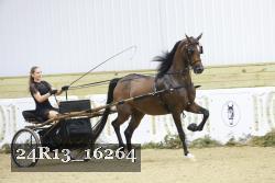 24R13_16264 thumbnail