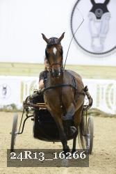 24R13_16266 thumbnail