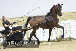 24R13_16270 thumbnail