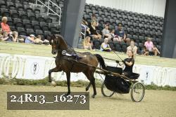 24R13_16273 thumbnail
