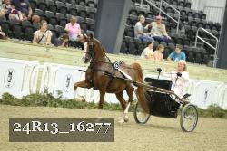 24R13_16277 thumbnail