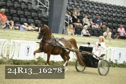 24R13_16278 thumbnail