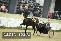 24R13_16281 thumbnail