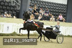 24R13_16282 thumbnail