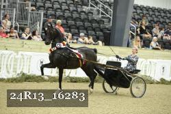 24R13_16283 thumbnail