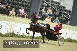 24R13_16292 thumbnail