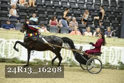 24R13_16298 thumbnail