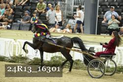 24R13_16301 thumbnail