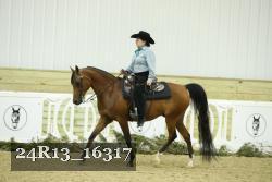 24R13_16317 thumbnail