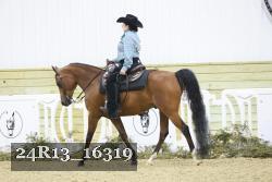24R13_16319 thumbnail