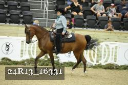 24R13_16331 thumbnail