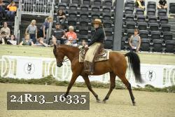 24R13_16335 thumbnail