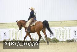24R13_16336 thumbnail