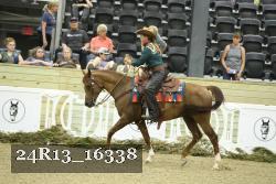 24R13_16338 thumbnail