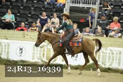 24R13_16339 thumbnail