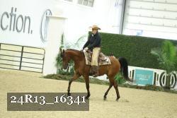 24R13_16341 thumbnail