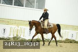 24R13_16342 thumbnail