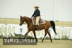 24R13_16344 thumbnail