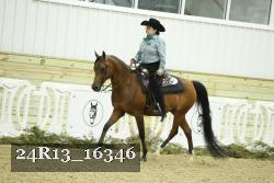 24R13_16346 thumbnail